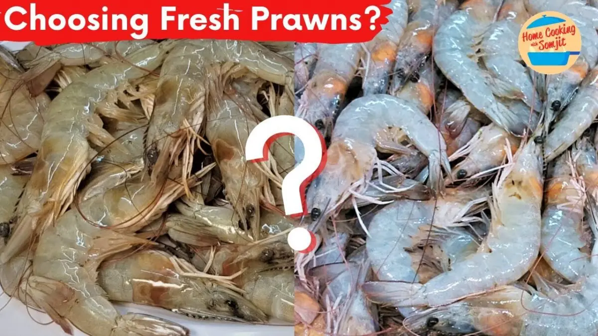 How to choose the right shrimp?