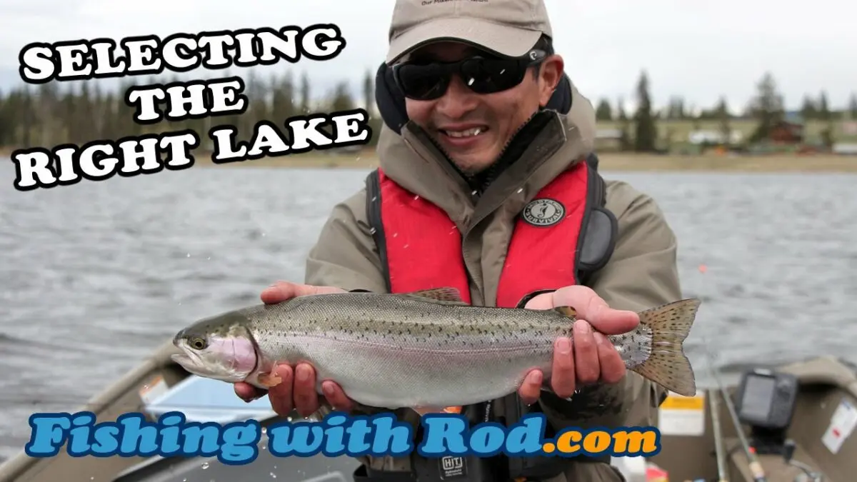 How to choose the right trout in the store, fresh or not