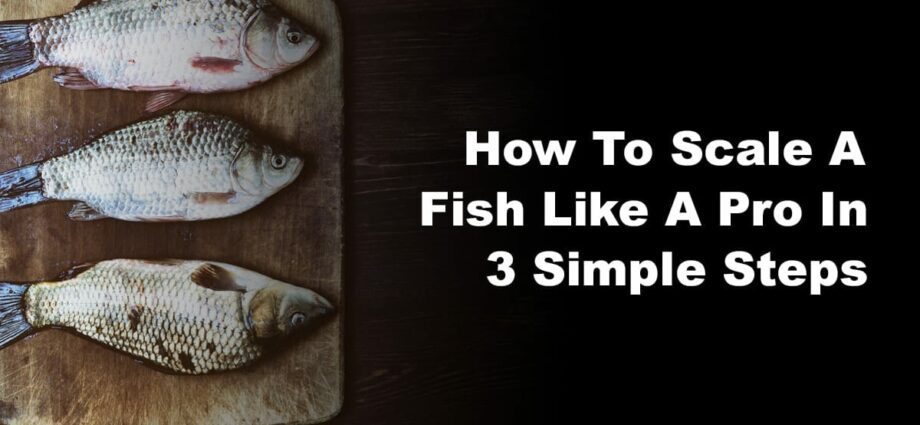 How to clean fish so that scales don&#8217;t fly