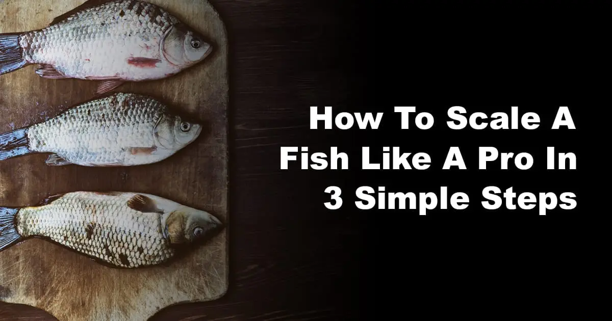 How to clean fish so that scales don&#8217;t fly