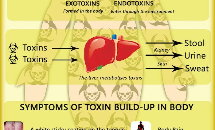 How to clean the body of toxins