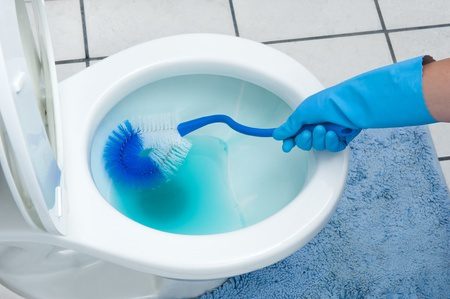 How to clean the toilet at home