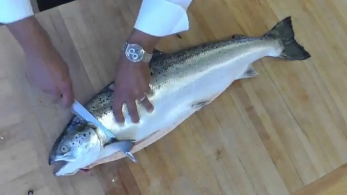 How to cook coho fish. Video