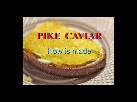 How to cook pike caviar: video recipe