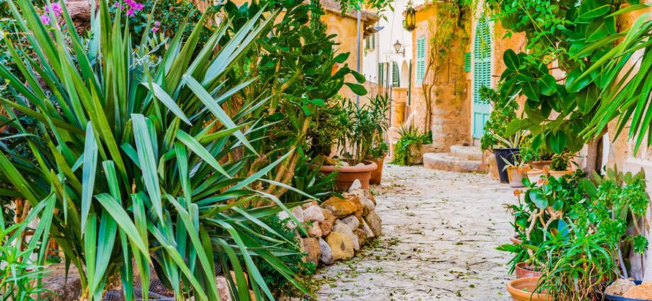 How to Create a Mediterranean Style: Tips