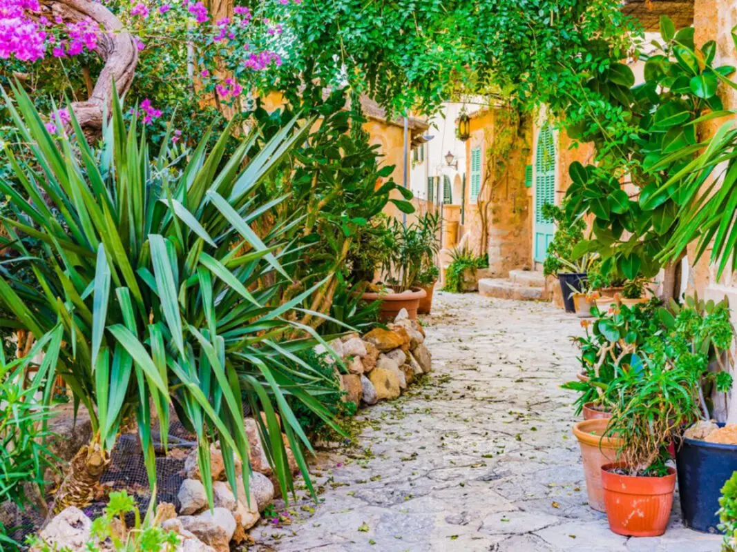 How to Create a Mediterranean Style: Tips