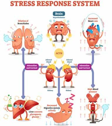 How to deal with fatigue and stress?