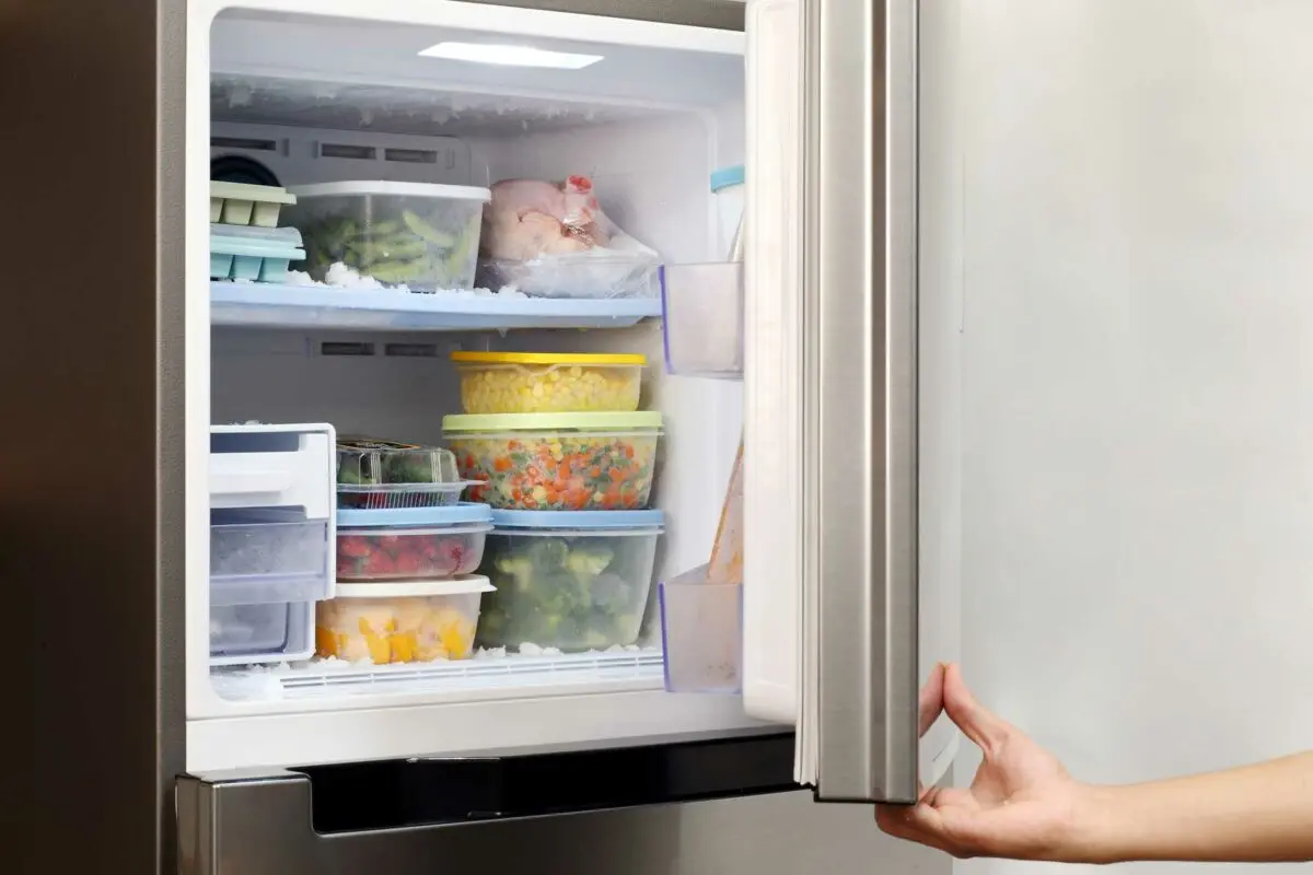 How to defrost a two-compartment refrigerator quickly and according to the rules