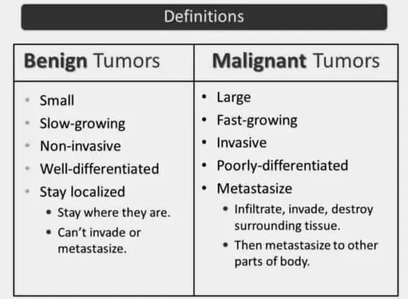 bagaimana-membedakan-tumor-ganas-dengan-tumor-jinak-makanan-sehat