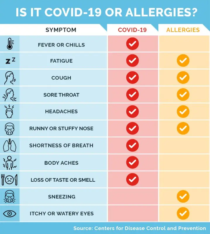 How to differentiate the symptoms of spring allergies from those of the coronavirus?