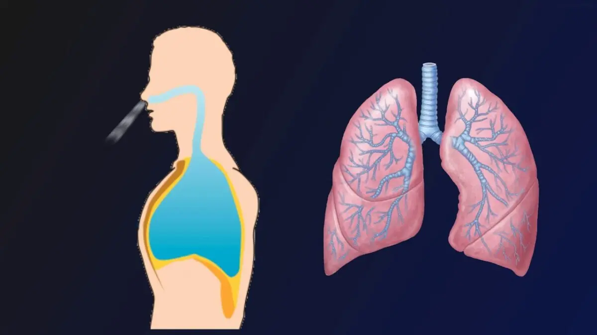 How to do inhalation? Video