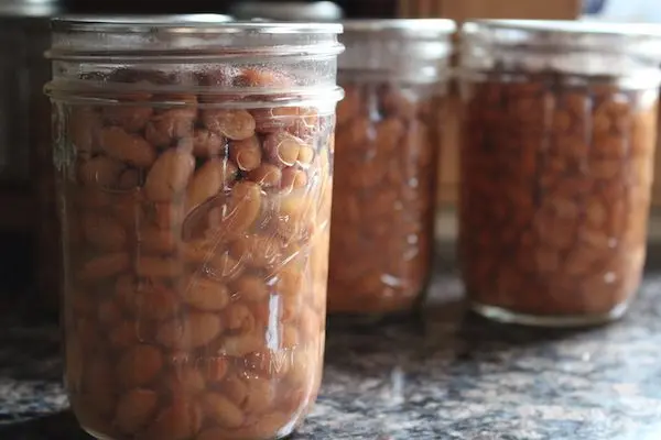 How to dry beans at home