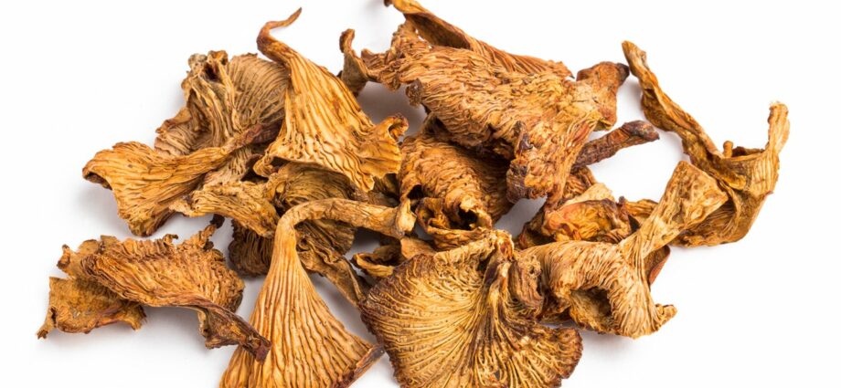 How to dry chanterelle mushrooms at home