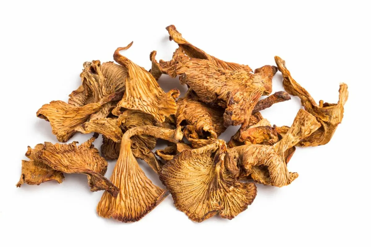 How to dry chanterelle mushrooms at home