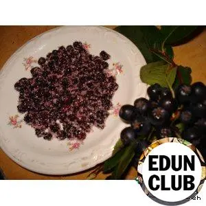 How to dry chokeberry at home, in the oven