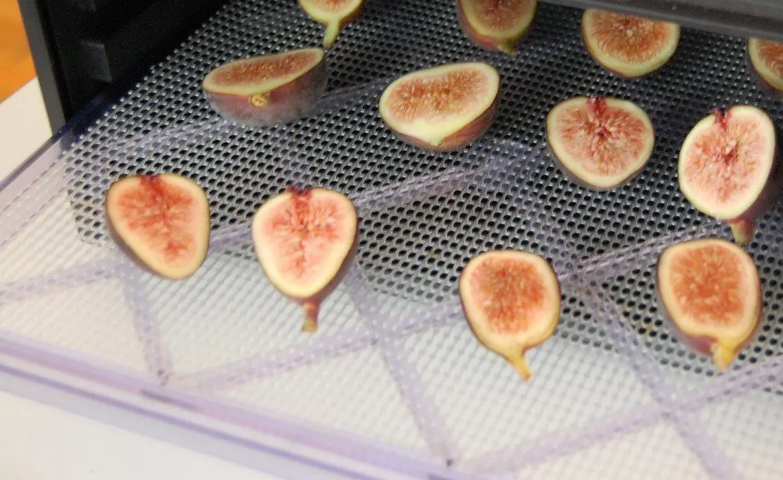 How to dry figs at home in the oven