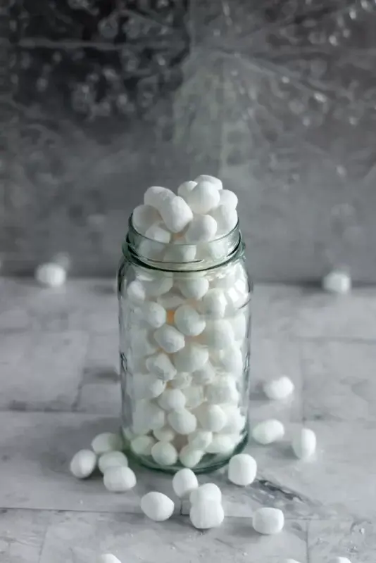 How to dry marshmallow in an electric dryer, in the oven