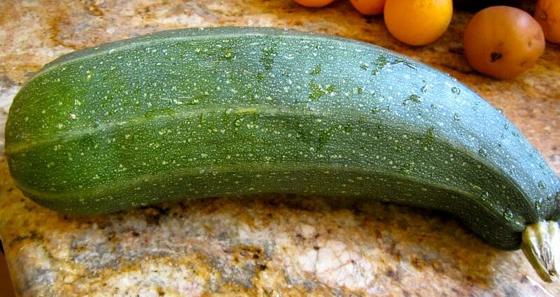 How to dry zucchini for the winter, is it dried zucchini