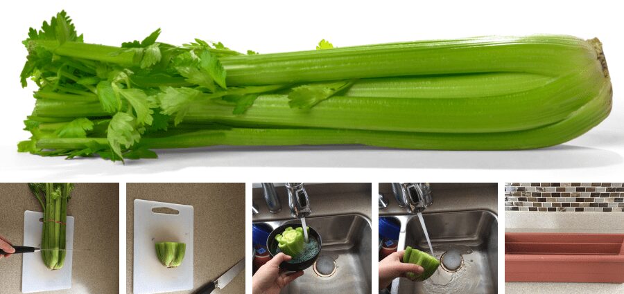 How to eat celery correctly: stalks, root, you can raw