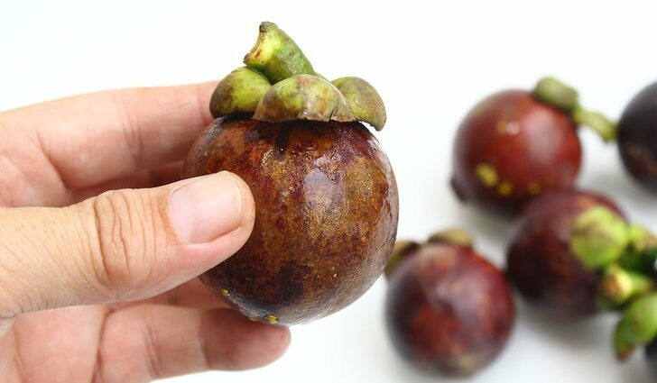 How to eat mangosteen correctly: fruit, peel