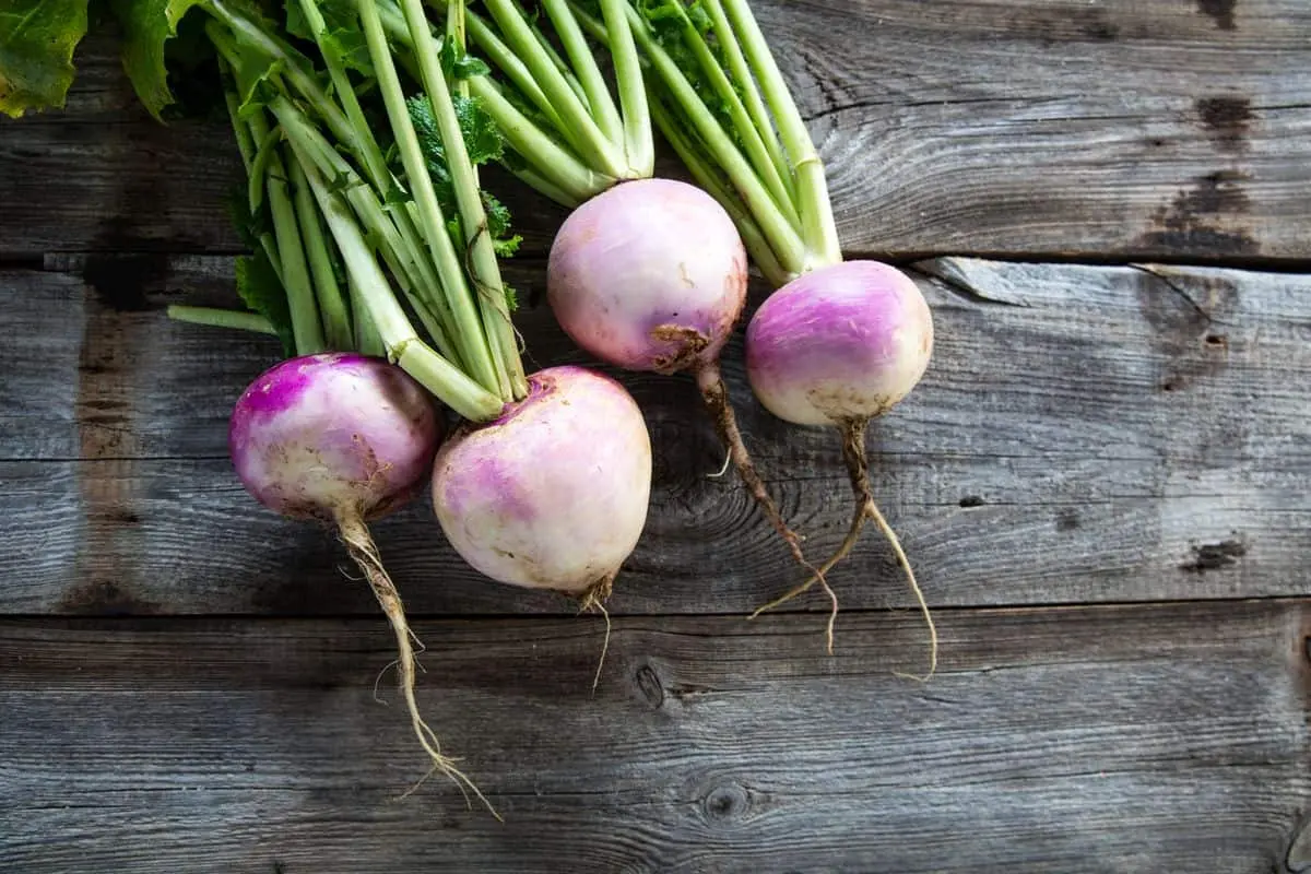 How to eat turnips raw correctly: yellow, you can