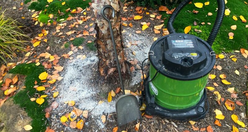 How to fertilize the soil with ash in autumn