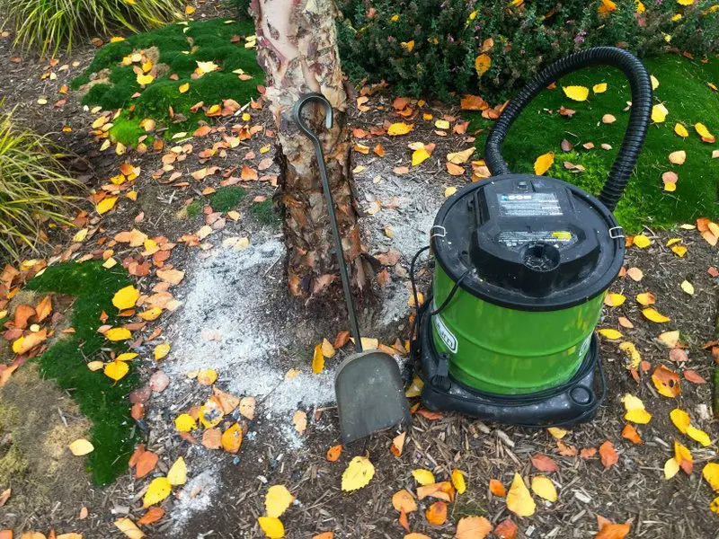 How to fertilize the soil with ash in autumn