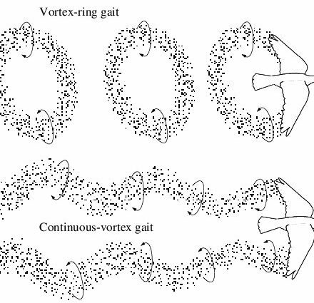 How to find a flying gait