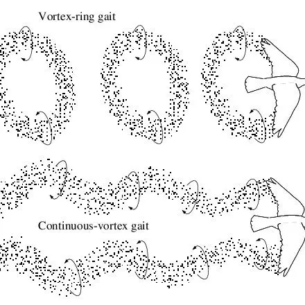 How to find a flying gait