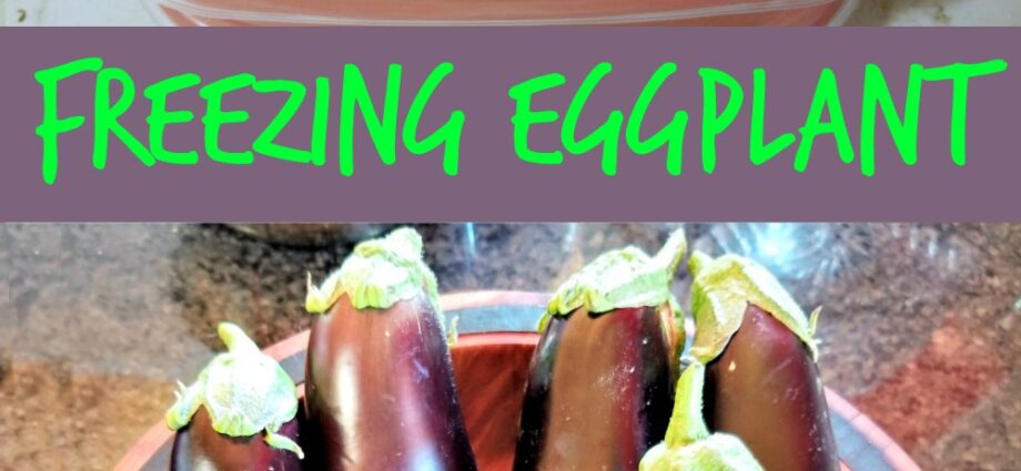 How to freeze fresh eggplant for the winter