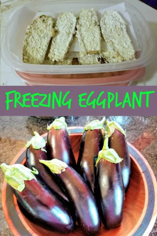 How to freeze fresh eggplant for the winter