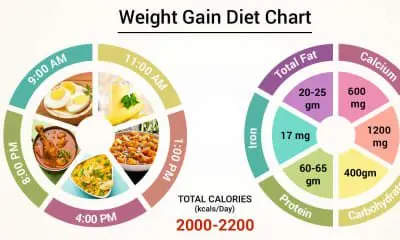 How to Gain Weight: Food and Exercise for Girls. Video