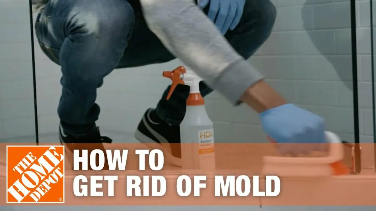 How to get rid of mold. Video recommendations