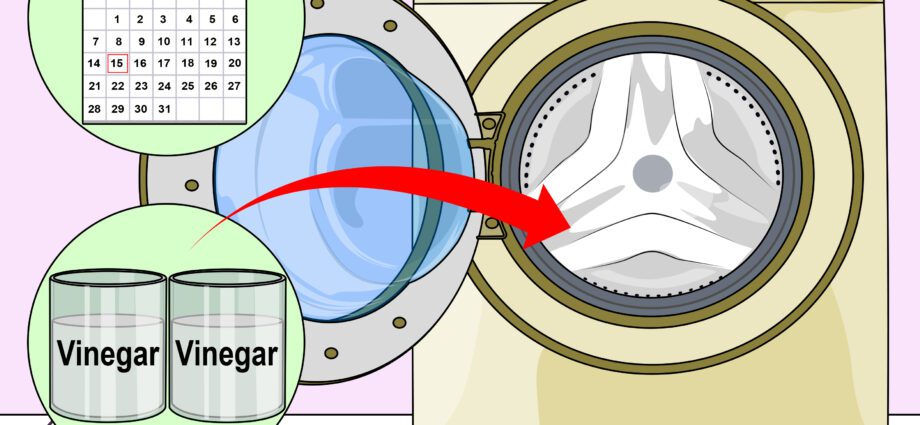 How to get rid of the smell in the washing machine