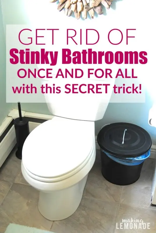 How to get rid of toilet smell