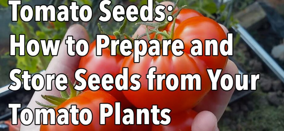 How to get seeds from a tomato