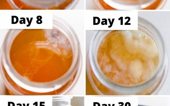 How to grow kombucha, aka kombucha