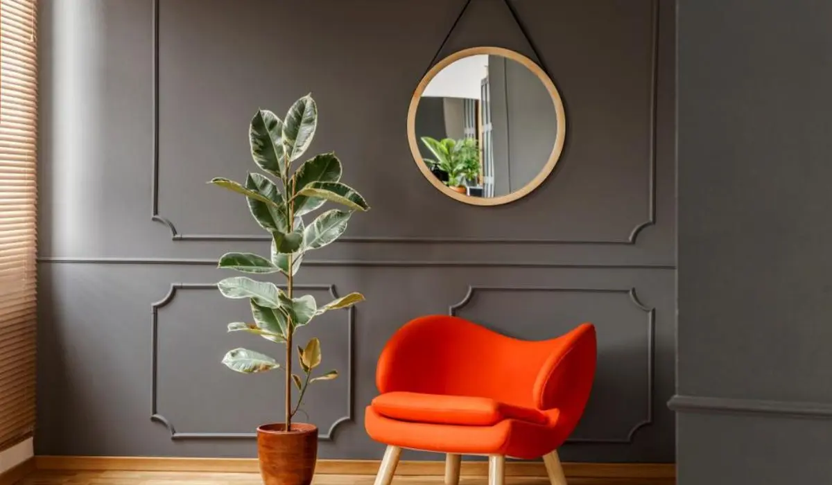 How to hang mirrors at home to improve health and attract wealth