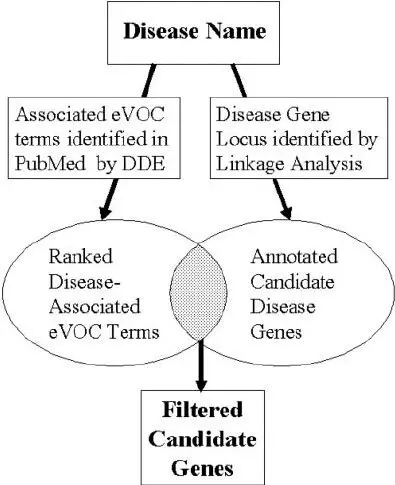 How to identify a disease by the skin