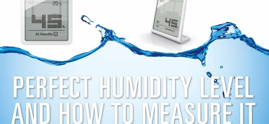 How to increase air humidity? Video