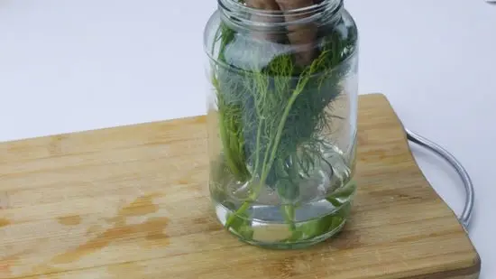 How to keep dill fresh for the winter for a long time