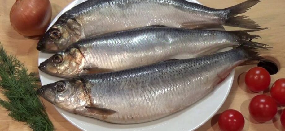 How to keep herring in the refrigerator without brine