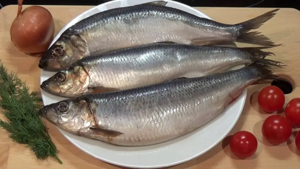 How to keep herring in the refrigerator without brine