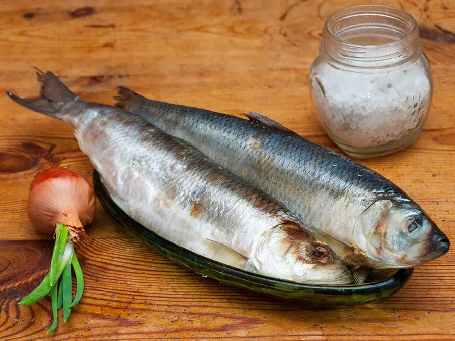 How to keep herring in the refrigerator without brine