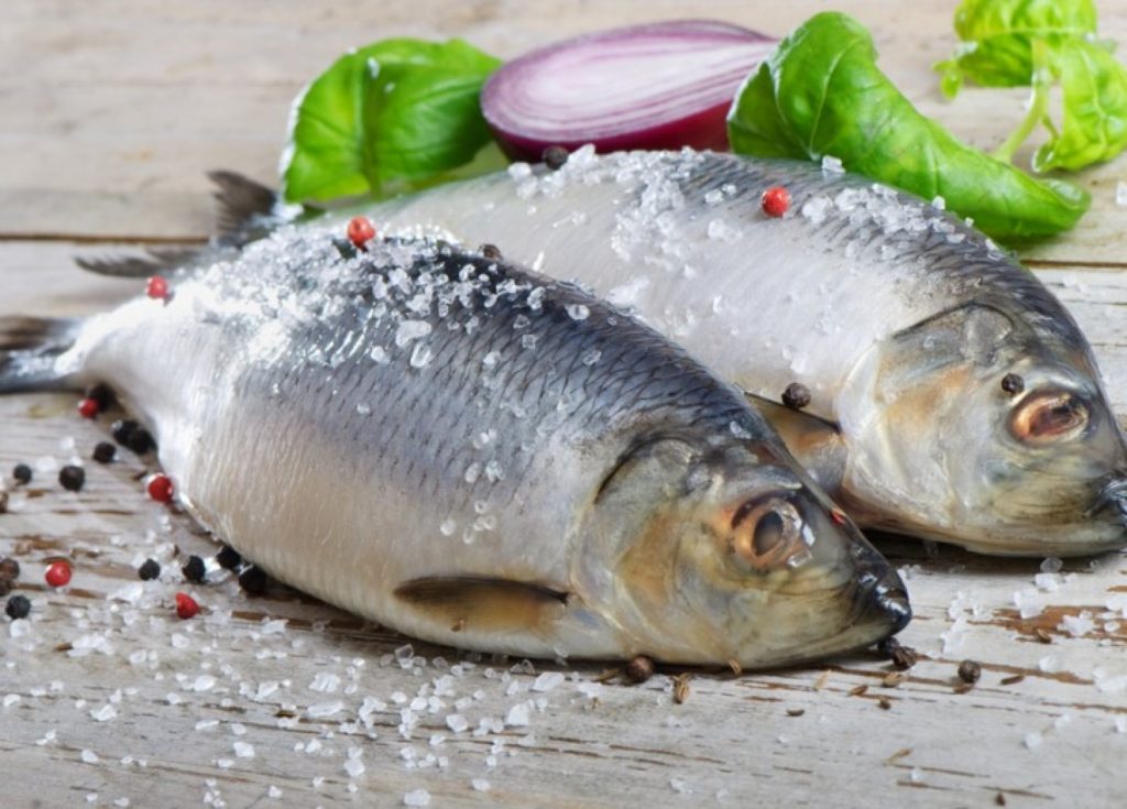 How to keep herring in the refrigerator without brine