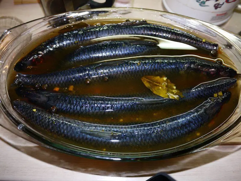 How to keep herring in the refrigerator without brine