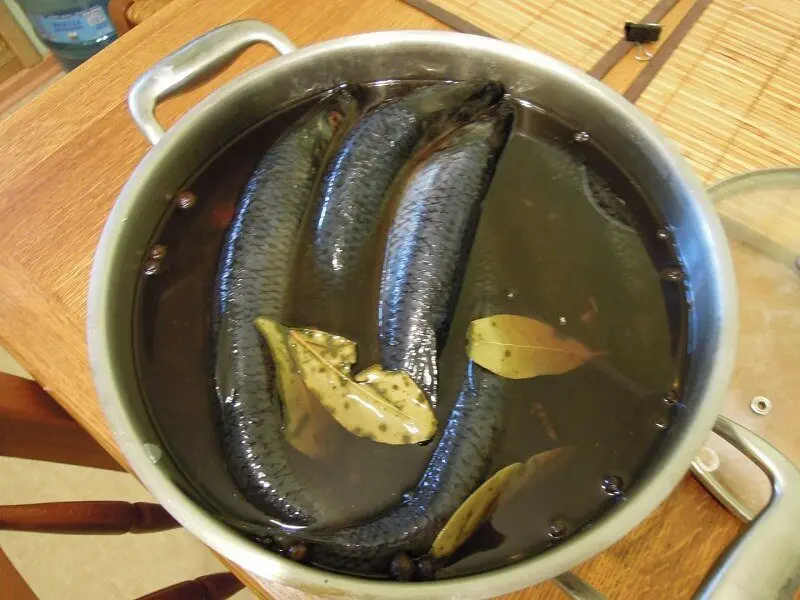 How to keep herring in the refrigerator without brine