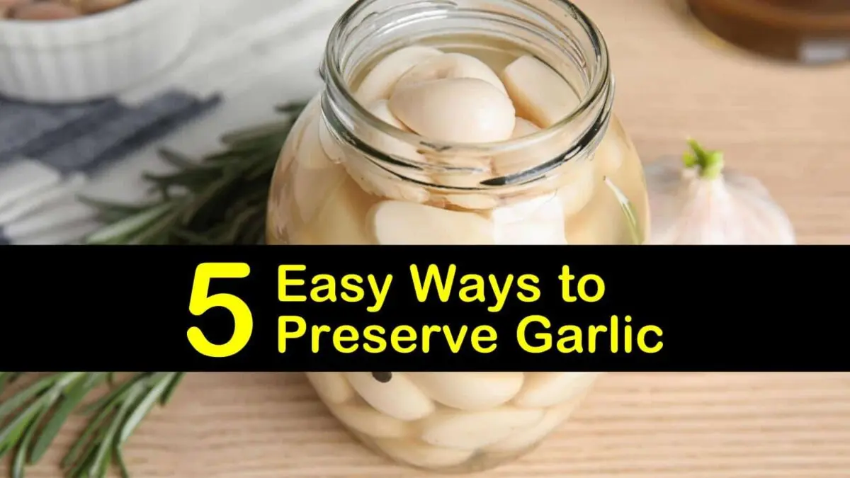 How to keep peeled garlic in the refrigerator