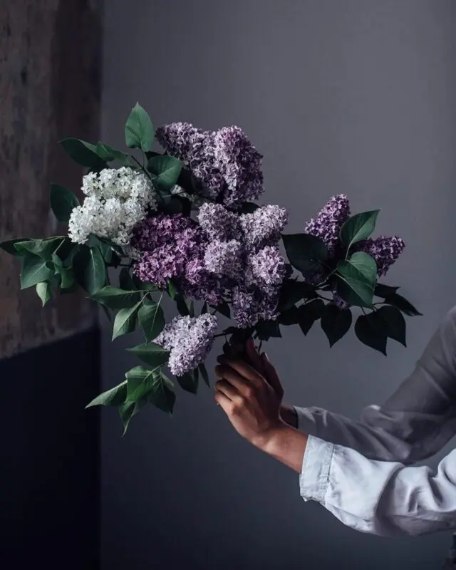 How to make a bouquet of lilacs in autumn