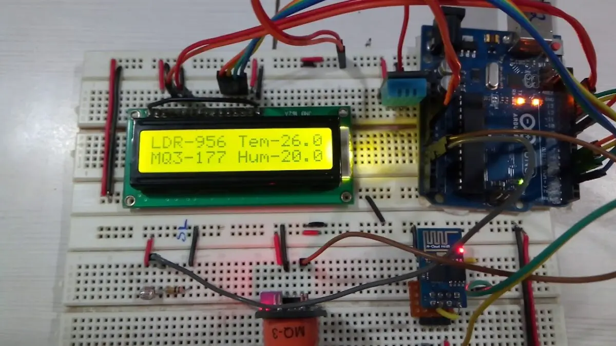 How to monitor food quality at home